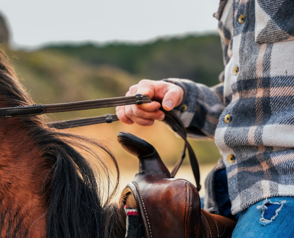 Giro a cavallo