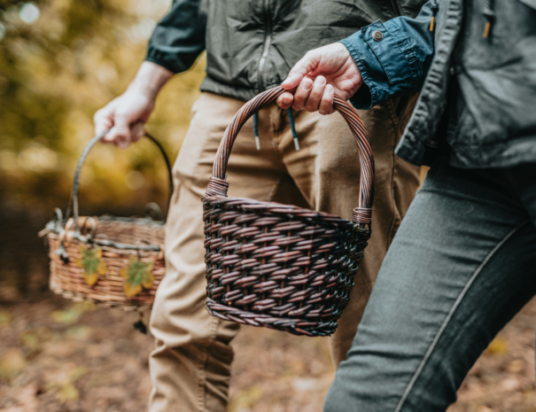 Truffle hunting